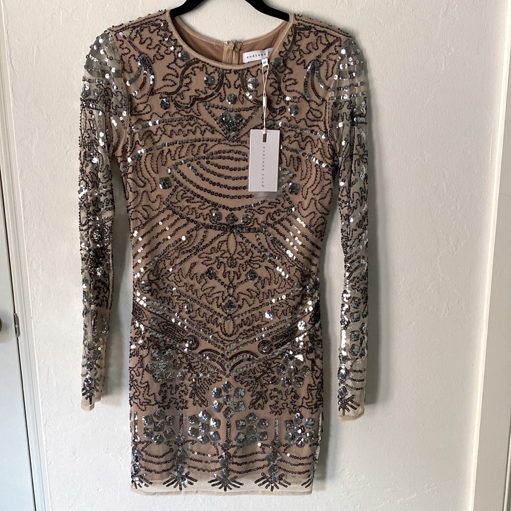 NWT. Short sequin dress. Nude lining and sheer arms. Long sleeve. XS.
